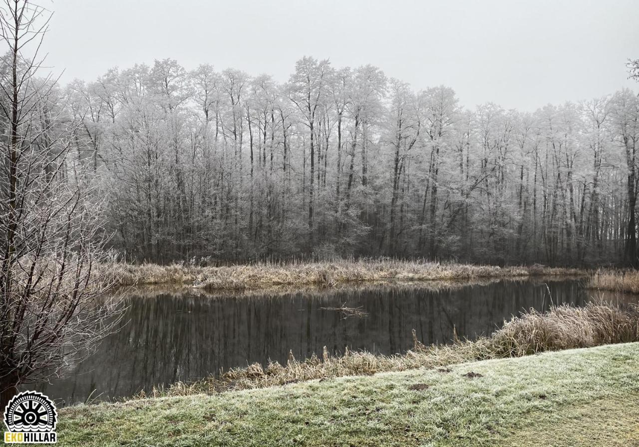 Mlyn Wodny Eko Hillar Villa Rybno  Exterior foto