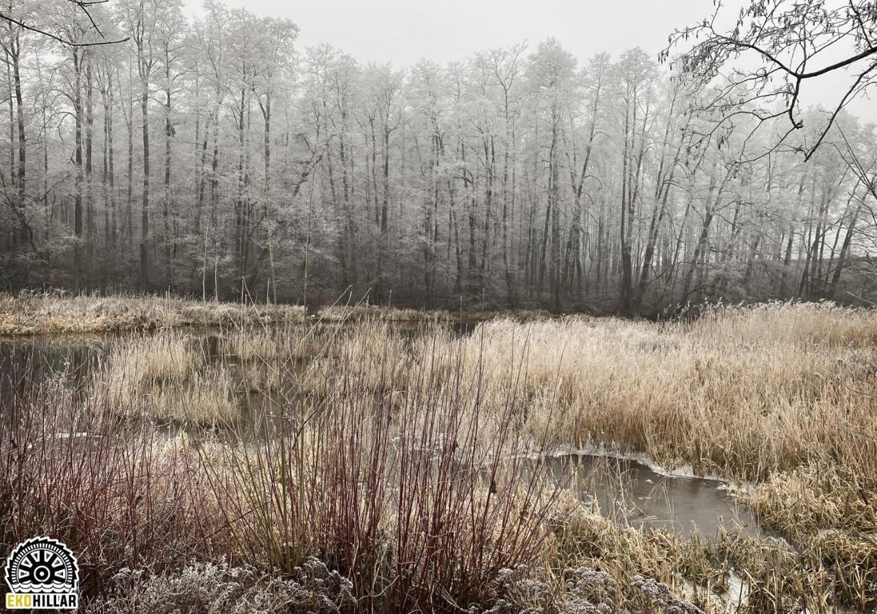 Mlyn Wodny Eko Hillar Villa Rybno  Exterior foto